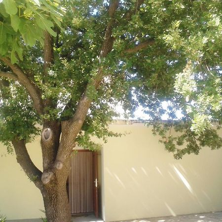 Apartments Angela Biograd Na Moru Εξωτερικό φωτογραφία