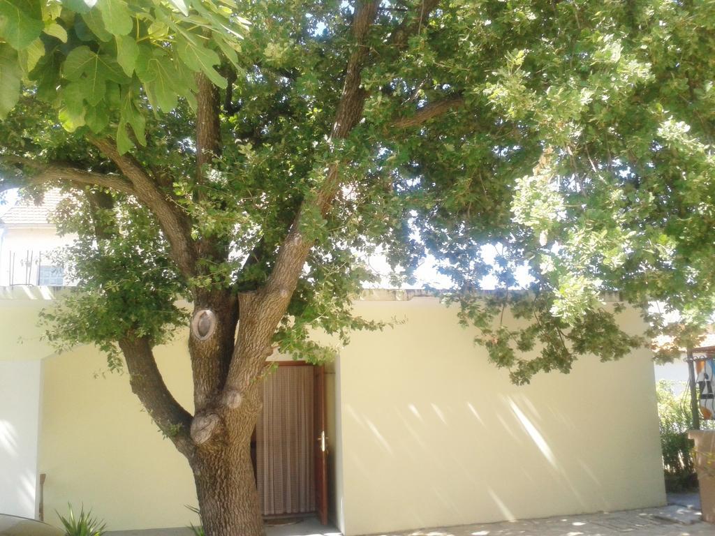 Apartments Angela Biograd Na Moru Εξωτερικό φωτογραφία